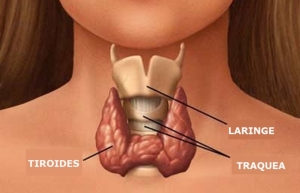 Tiroides Artricenter 